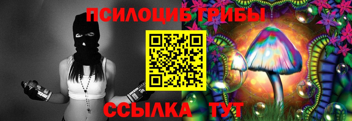 Евпатория  Псилоцибиновые грибы GOLDEN TEACHER  Вход с VPN  купить  сайты  Псилоцибиновые грибы Psilocybe 